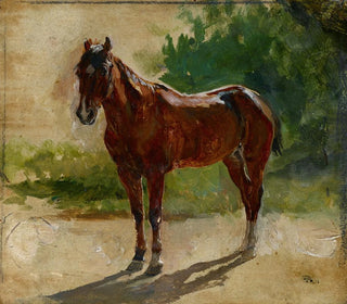 Studie eines braunen Pferdes - Ernest Meissonier — Ansicht des Kunstwerks