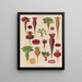 Rote Beete - Ernst Benary — gerahmtes Bild an der Wand