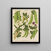 Süßigkeiten-Punkte oder essbare Punkte - Ernst Benary — gerahmtes Bild an der Wand