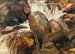 Studie des Wasserfalls in Eggedal - Ernst Josephson — Ansicht des Kunstwerks