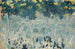 Orangenbäume - Ernst Schiess — Ansicht des Kunstwerks