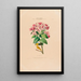 Flore d'Amérique zeichnung nach der Natur vor Ort Pl013 - Étienne Denisse — gerahmtes Bild an der Wand