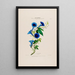 Flore d'Amérique dessinée d'après nature sur les lieux Pl014 - Étienne Denisse — gerahmtes Bild an der Wand