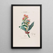 Flore d'Amérique dessinée d'après nature sur les lieux Pl017 - Étienne Denisse — gerahmtes Bild an der Wand