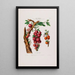 Flore d'Amérique dessinée d'après nature sur les lieux Pl025 - Étienne Denisse — gerahmtes Bild an der Wand