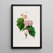 Flore d'Amérique dessinée d'après nature sur les lieux Pl030 - Étienne Denisse — gerahmtes Bild an der Wand
