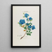 Flore d'Amérique dessinée d'après nature sur les lieux Pl033 - Étienne Denisse — gerahmtes Bild an der Wand