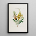 Flore d'Amérique dessinée d'après nature sur les lieux Pl035 - Étienne Denisse — gerahmtes Bild an der Wand