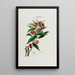 Flore d'Amérique dessinée d'après nature sur les lieux Pl039 - Étienne Denisse — gerahmtes Bild an der Wand