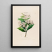 Flore d'Amérique zeichnen nach der Natur vor Ort Pl057 - Étienne Denisse — gerahmtes Bild an der Wand