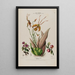 Flore d'Amérique dessinée d'après nature sur les lieux Pl074 - Étienne Denisse — gerahmtes Bild an der Wand