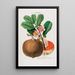 Flore d'Amérique dessinée d'après nature sur les lieux Pl088 - Étienne Denisse — gerahmtes Bild an der Wand