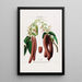 Flore d'Amérique dessinée d'après nature sur les lieux Pl094 - Étienne Denisse — gerahmtes Bild an der Wand