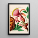 Flore d'Amérique dessinée d'après nature sur les lieux Pl097 - Étienne Denisse — gerahmtes Bild an der Wand