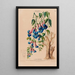 Flore d'Amérique dessinée d'après nature sur les lieux Pl124 - Étienne Denisse — gerahmtes Bild an der Wand