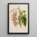 Flore d'Amérique dessinée d'après nature sur les lieux Pl187 - Étienne Denisse — gerahmtes Bild an der Wand