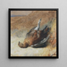 Studie eines Tetraos - Archibald Thorburn — gerahmtes Bild an der Wand