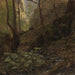 Waldstudie - Hans Gude — Ansicht des Kunstwerks