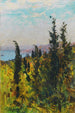 Ansicht auf die Goldene Horn - Fausto Zonaro — Ansicht des Kunstwerks