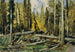 Wald Böhmische - Ferdinand Engelmüller — Ansicht des Kunstwerks
