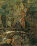 Die wilde Natur von Rettenbach bei Ischl - Ferdinand Georg Waldmüller — Ansicht des Kunstwerks