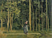 Promenade le long de la lisière d'un bois - Ferdinand Hodler — Ansicht des Kunstwerks