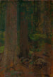 Waldstudie - Ferdinand Katona — Ansicht des Kunstwerks