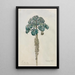 Baum Faultier - Ferdinand Keller — gerahmtes Bild an der Wand