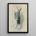 Studie eines Pfefferfressers - Ferdinand Keller — gerahmtes Bild an der Wand