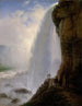 Unter den Wasserfällen des Niagarafalls - Ferdinand Richardt — Ansicht des Kunstwerks