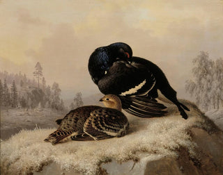 Ferdinand von Wright - Black Grouse Cock And Hen.webp