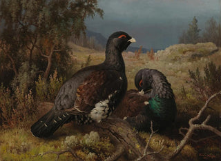 Hähne des Auerhuhns - Ferdinand von Wright — Ansicht des Kunstwerks