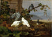 Tauben - Ferdinand von Wright — Ansicht des Kunstwerks
