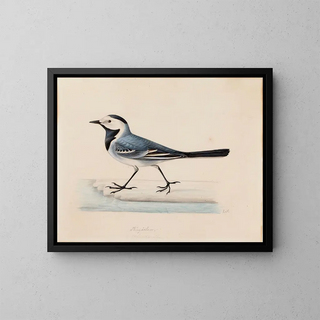 Ferdinand von Wright - White Wagtail.webp