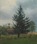 Fichte - Ferdynand Ruszczyc — Ansicht des Kunstwerks