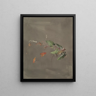 Fidelia Bridges - Bindweed.webp