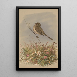 Fidelia Bridges - Bird on a stalk singing.webp