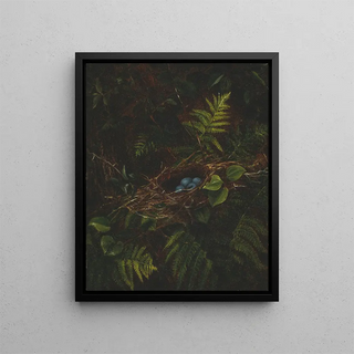 Fidelia Bridges - Birds Nest and Ferns.webp