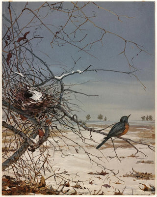 Fidelia Bridges - December.webp