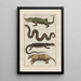 Histoire naturelle des quadrupèdes Pl07 - Filippo Buonanni — gerahmtes Bild an der Wand