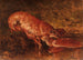 Stillleben mit Hummer - Félix Ziem — Ansicht des Kunstwerks