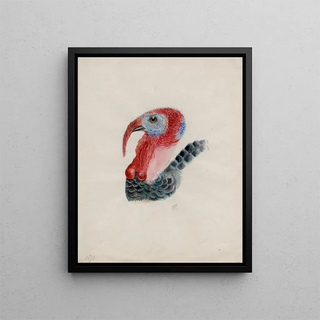 Floris Verster - Head of a turkey.webp