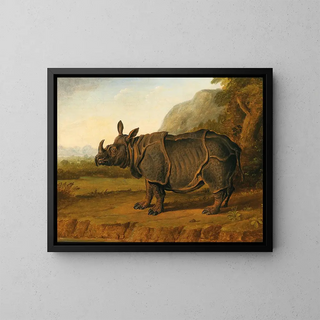 Follower of JeanBaptiste Oudry - The Rhinoceros Clara.webp