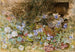 Marguerites und Veilchen - Frances Fanny Wilmot Currey — Ansicht des Kunstwerks