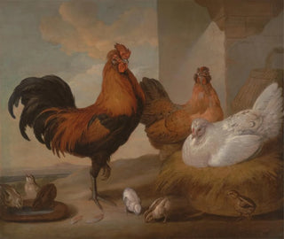 Francis Barlow - Domestic Cock Hens and Chickens.webp