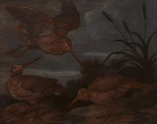 Bécasse au crépuscule - Francis Barlow — Ansicht des Kunstwerks