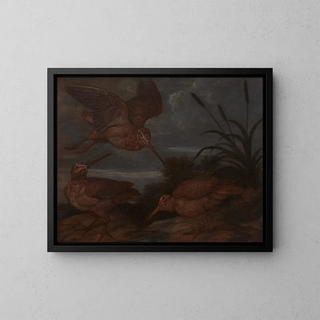 Bécasse au crépuscule - Francis Barlow — gerahmtes Bild an der Wand
