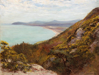 Baie de Killiney vue vers Bray - Francis S Walker — Ansicht des Kunstwerks