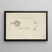 Argyropelecus hemigymnus Fisch-Hacke, gemeinsamer Fisch Neuseeland - Frank Edward Clarke — gerahmtes Bild an der Wand