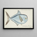 Brama brama NZ Ray's Bream - Frank Edward Clarke — gerahmtes Bild an der Wand